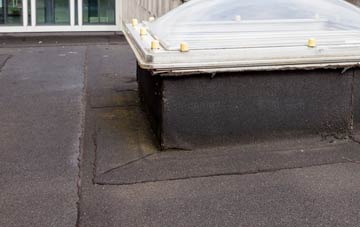 disadvantages of Stanton Prior flat roofs