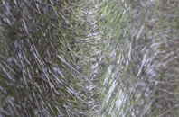 Stanton Prior fibreglass roof work